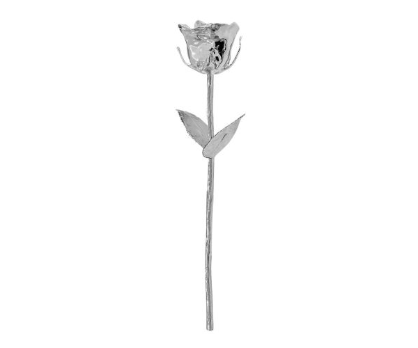 Eternity Silver Rose Limited Edition (Gift Set)